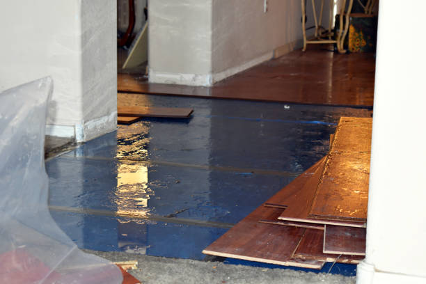 Professional Water Extraction technician working in Byron, MI